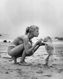 Sandra Dee as GIDGET (1959) Source: imgur