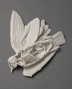 beautifulbizarremagazine:   Kate MacDowell’s Honest and Haunting