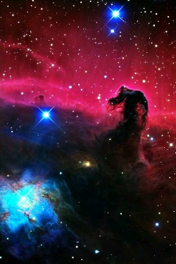 tessladapanda:  Horsehead Nebula