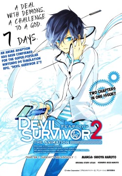 its irritating to me that all properties surrounding Devil Survivor