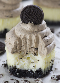 ilovedessert:  Chocolate Mousse Mini Oreo Cheesecake Cupcakes