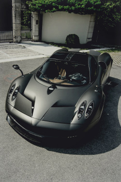 carbonandfiber:  Pagani Huayra