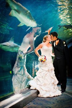 busket:  stunningpicture:  Perfectly timed wedding photo  so