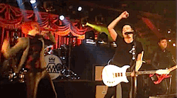 istillloveparamore:  ginger-slap 