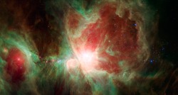 cosmonautoncall:  Orion’s Trapezium Cluster Image Credit: NASA, JPL-Caltech,