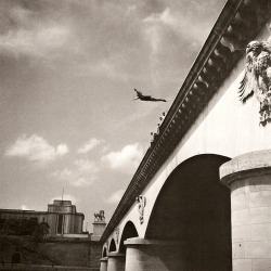 Plongeon du pont Iéna, Paris, 1960’s.