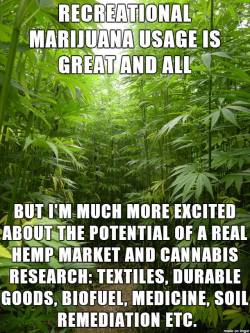 sbbw-mania:  tdevil:carlboygenius: Hemp is a Sensible, Sustainable, Highly-Industrializable PlantWe should utilize it. Hemp could solve many problems.END PROHIBITION. It is NOT just about smoking.Someone come squeeze my butt  Reblog