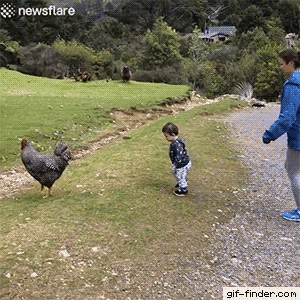 giffindersite:  Mom makes an EPIC save!! Via https://gif-finder.com