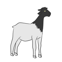 wishyounew:  rulodecabra:  The ace goat wishes you a happy Asexual