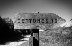 Anyone wanna go to deftones road?