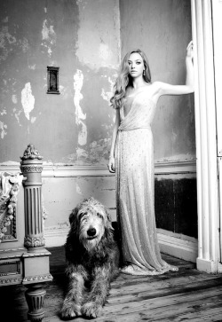 lesravageurs:  Ravageuses have pets. | Amanda Seyfried by Simon