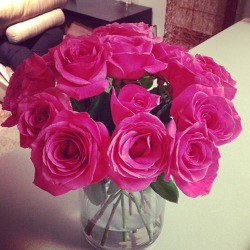 classyndbeautiful:  i follow back similar blogs (: 