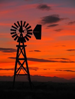 sixtysexyandfit:  Windmill of my mind  Windmills and sunsets…two