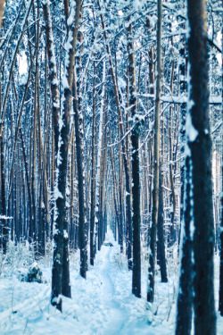 earthdaily:  24/7 by yanchenkov  