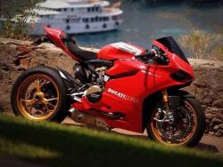 motorcycles-and-more:  Ducati Corse 1199 Panigale 