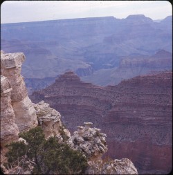 twoseparatecoursesmeet:  The Grand Canyon, 1969 Doris Thomas