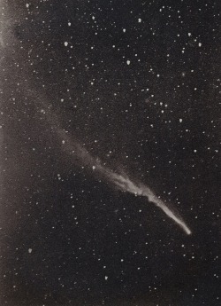rudygodinez:  Edward Emerson Barnard, Comet “Brooks”, (1893)