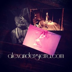 Got my new business cards today #alexanderguerra 