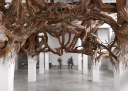 culturenlifestyle:  Twisted Tree Branch Installation by Henrique