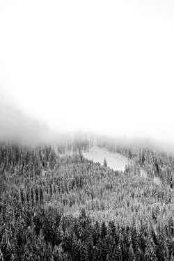 drxgonfly:  Winter landscape (by muttigiovanni) 