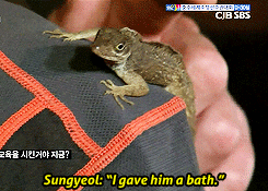  Sungyeol with his new pet lizard named Sunggyu 
