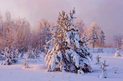 divamarija:Winter in Nevon, Russia