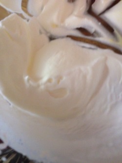 notnumbersix:  poppies-in-july:I made whipped cream this morning,