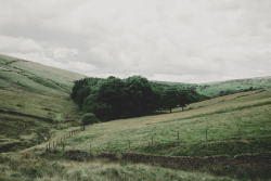 en-croute:You can’t beat the English countryside when the leaves