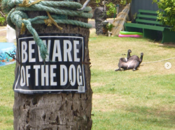 babyanimalgifs:Funny “beware of the dog” signs and the very