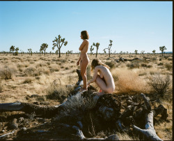 art-t-nyc:  Out at Joshua Tree.Lo-res 120 film scan.
