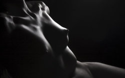 bodyscape 3 by Britalicus 