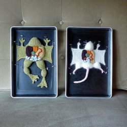 sixpenceee:  Learn Anatomy By Dissecting Knitted Animals Weaving