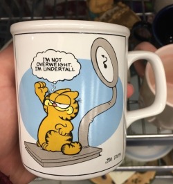 sweethartist: shinx-shank:  daily-garfield:  ohmygoodwill:  I’m