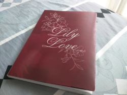 Lily Love volume 2
