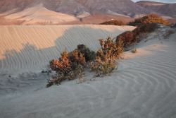 biraunal:  Caletta de Famara. MICHAEL BODIAM. 