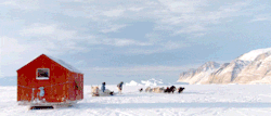 Time for a change of scenery (dogsled team pulling an ice-fishing