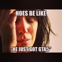 thebizone:  Hoes get no love for the rest of 2013. #meme #funny