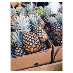 “Pineapples bitch pineapples, PINEAPPLESSSSSS”-Kevin