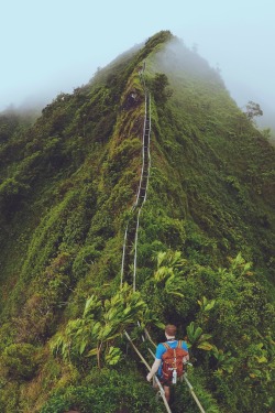 expressions-of-nature:  Stairway to Heaven ✅ by Psych Tech