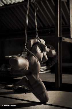 amaury-grisel-shibari:  distorsion of the flesh Modele : Baby