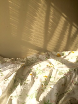 cloudmango:  morning light coming in through the curtains 