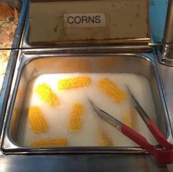 personsonable:corn milk lacornx 