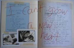  courtney love’s diary  