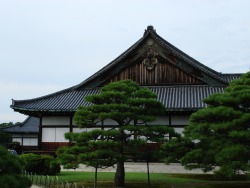 chiisai-fukurou:  This time it is Kyotos Ninomaru palace of the