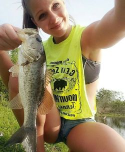 fish & hips