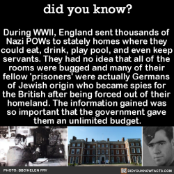 did-you-kno:  During WWII, England sent thousands of Nazi POWs