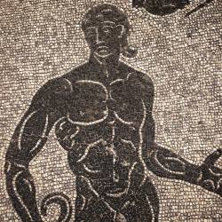 artworkshopinternational: #ostiaantica #ancientroman #mosaic
