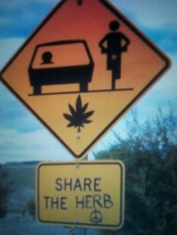 hashcompany:  lets support MARIJUANA!  follow me @ hashcompanytumblr.com