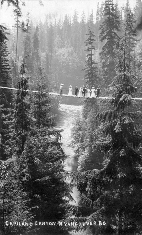 Crossing Capilano Canyon, Vancouver⁣, 1905⁣. Nudes &