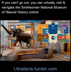 ultrafacts:  Washington D.C.’s National Museum of Natural History